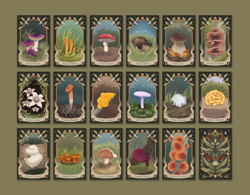Cartas colección completa