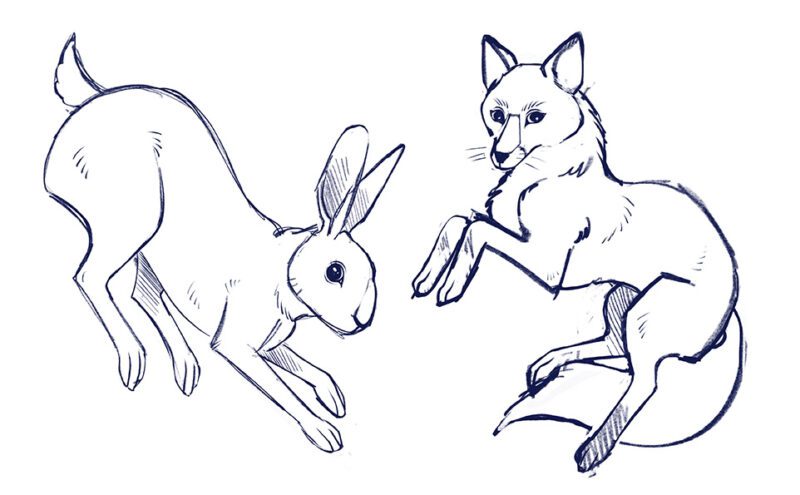 Tiers Liebre y Zorro - bocetos