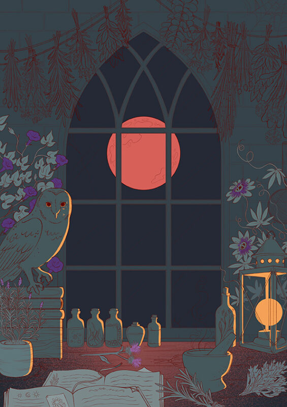 Witchcraft in Bloom - etapa de color