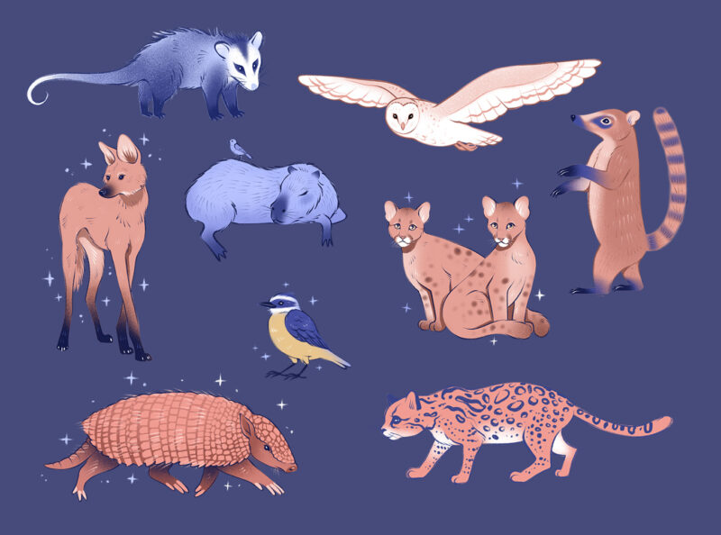 Animales autóctonos de Uruguay