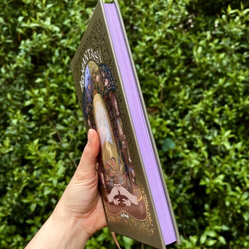 painted edges_romantasy: a reading journal